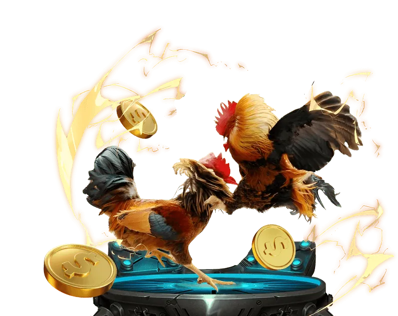 Hình ảnh mẹo và chiến lược cá cược đá gà